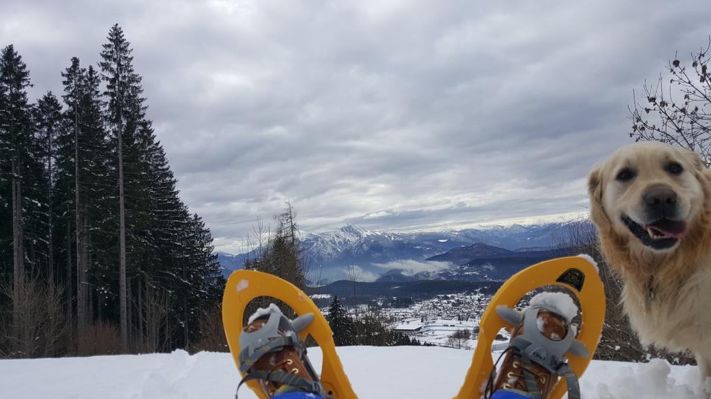 Hotel Olimpic Baselga di Pinè Екстериор снимка